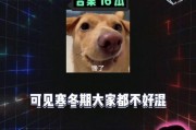 娱乐八卦吃瓜群,揭秘吃瓜群背后的八卦秘闻