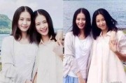 娱乐吃瓜酱替身文学,娱乐吃瓜酱的幕后故事